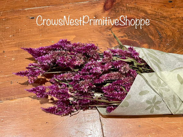 Celosia Flower Bouquet