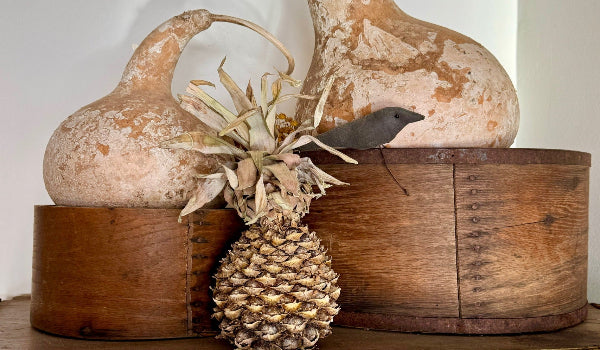 Real Whole Dried Pineapple