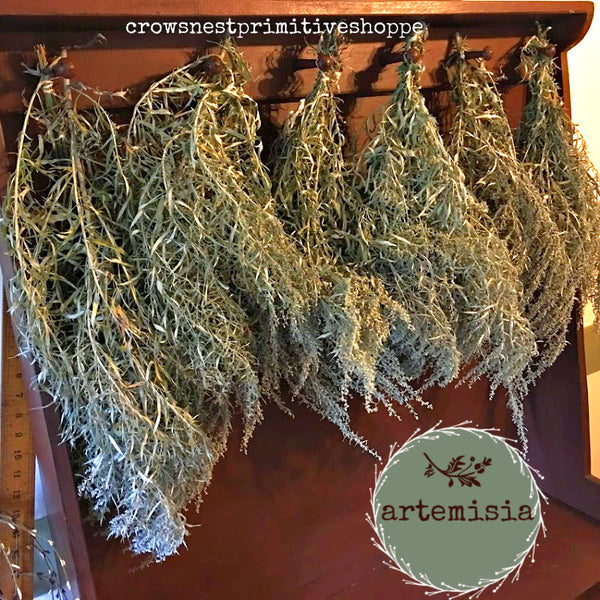 Artemisia Bunch