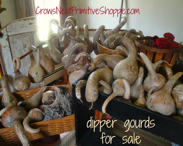 Natural Dried Large Gourds