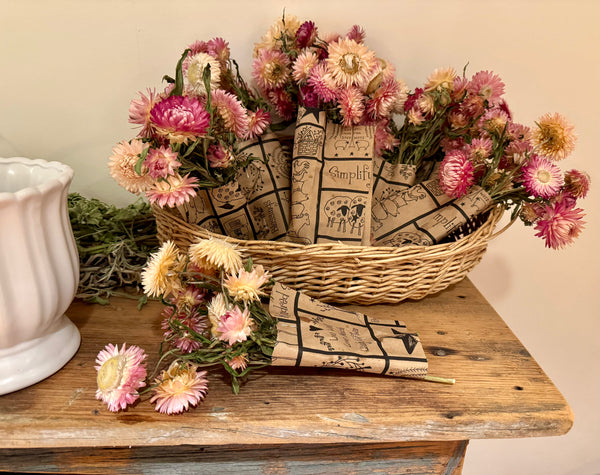 Dried Strawflower Bunch