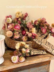 Dried Strawflower Bunch