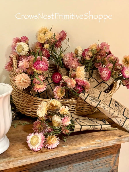Dried Strawflower Bunch