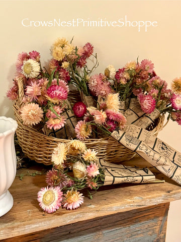 Dried Strawflower Bunch