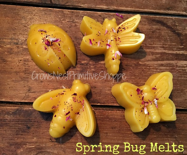 Scented Beeswax Bug Shaped Melt Set