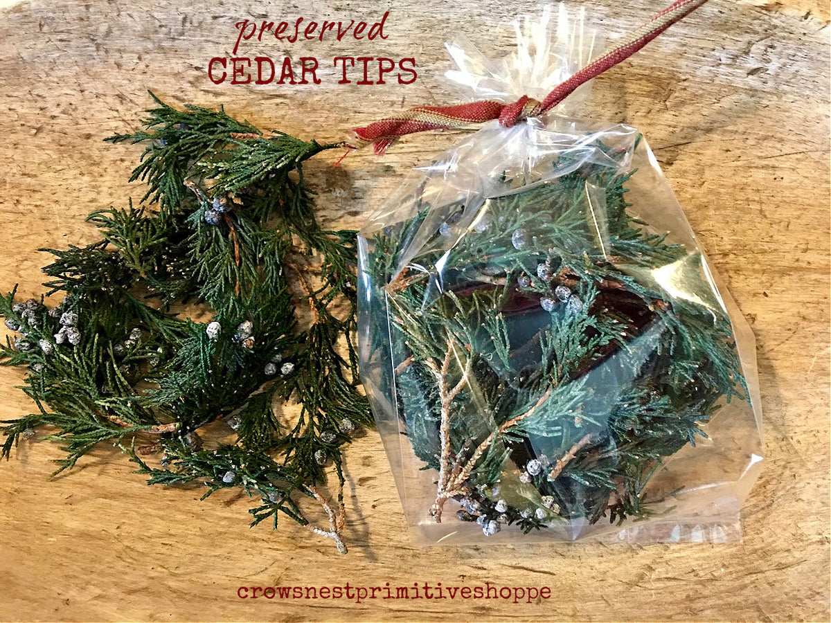 Preserved Cedar Tips Packaged – Crows Nest Primitive Shoppe