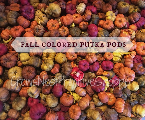 Scented Putka Pods-Fall Color Blend