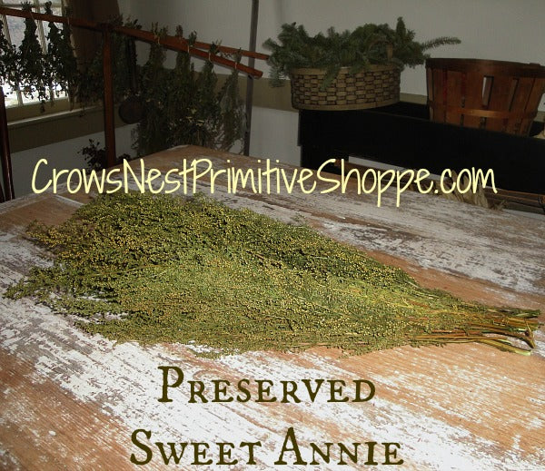 Sweet Annie Bunch-Preserved